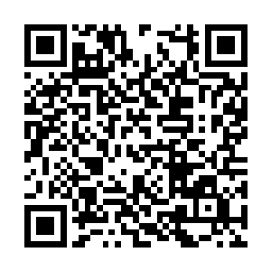 而趴在东面的巴克并不认为祈祷完以后会良心发现二维码生成
