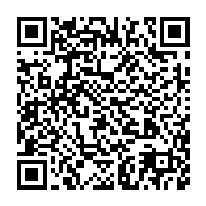 而跟在我身后的那条白龙已经疯狂的一嘴咬住了此刻我身下佛龙的尾巴二维码生成