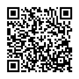 而跟着大海和钟芸两个人一同而来的人在知晓情况的时候二维码生成