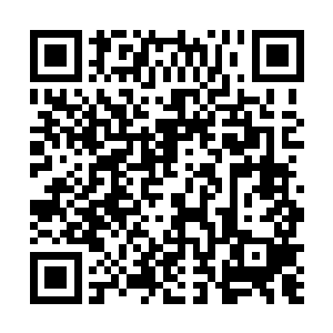 而蹲在上面的高老板一下就变成了双手挂在剩余支架上二维码生成