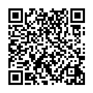 而身为忍者的井上准备再一次发动忍者遁法的时候二维码生成