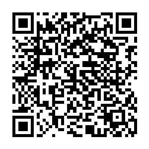 而身体已经缩小至一米大小的小白虎则是焦急不安的在剑尘的身边来回走动二维码生成