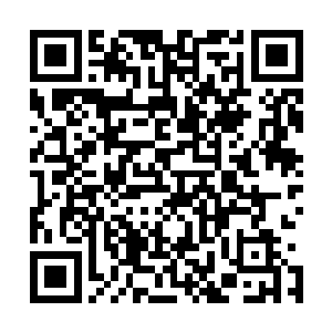 而身后那群乌合之众却是打着他的幌子行那等惨绝人寰之事二维码生成