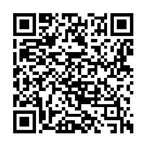 而轩辕如馨能够绕过这一界的守护神空降九州界二维码生成