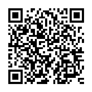 而辛一豪实实在在的打败了周二飞……看来这两位王者归来后二维码生成