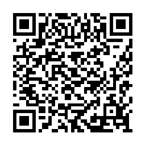 而达到练体四层就可以随意运转调动体内的灵气二维码生成