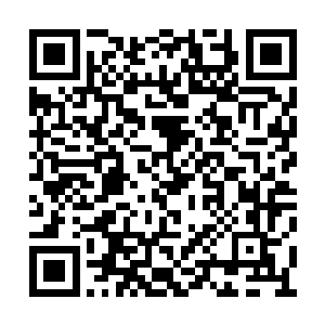 而还在使用的主战步枪采用缺口式瞄具的也不少二维码生成