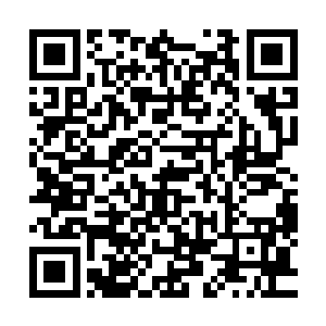 而还处于惊奇自己被桑春以外的女仙拽着走的琴瑟色还没反应二维码生成