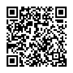 而还未完成的一角正好是那五座边缘处没收集瘴毒珠的山峰底部二维码生成