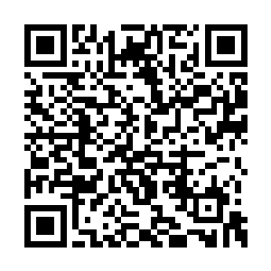 而这一个个下位面星域就好比大树的一条条根须二维码生成