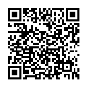 而这一切都来源于你当时野蛮无礼的信任……而二维码生成