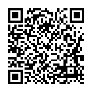 而这一只处于至尊灵兽实力巅峰的黑暗系至尊灵兽呢二维码生成