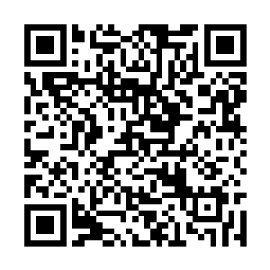 而这一招说起來就是天雨阁唯一拿的出手的技能了二维码生成