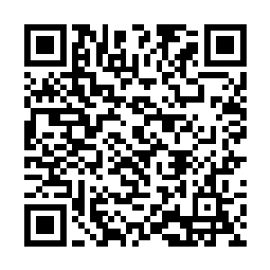 而这一次他把希望寄托在了帕西诺和兰开斯特的身上二维码生成