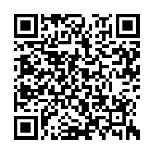 而这一次又闹出来陈南露和一个画家有染的消息二维码生成