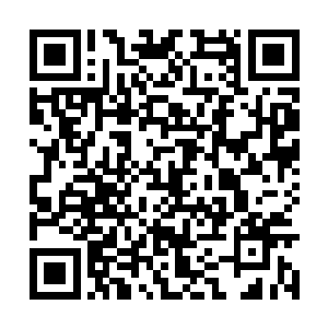 而这三头飞行妖兽都只不过是普通圣级的飞行妖兽二维码生成