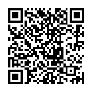 而这两个队伍的比赛也是彻底颠覆了陈易清之前所有的想法二维码生成
