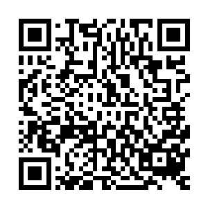 而这两股力量没发现吸引着他们火力的血妖姬之力变小了一圈二维码生成