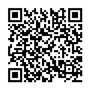 而这个原点才应该是金木水火土以及精神力的源泉二维码生成