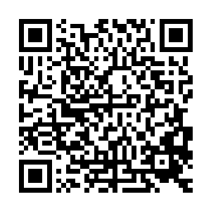 而这个名叫奥利维亚的年轻人毫无疑问具备成为皇帝的一切因素二维码生成