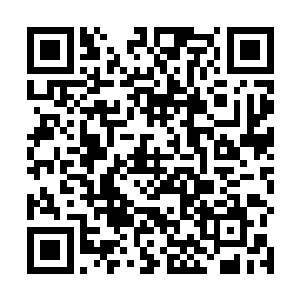 而这个地方还有一个神奇的东西吸引了所有人的注意力二维码生成