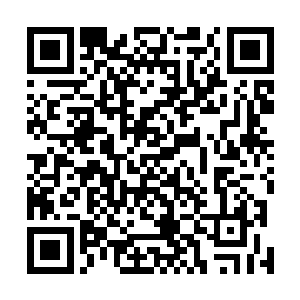 而这个城镇人口数占全县城镇人口数的百分之九十以上吧二维码生成