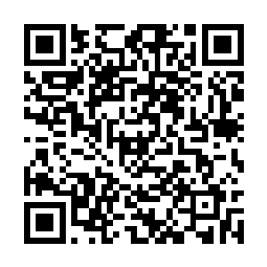 而这个岸上渔村第一步建设就选中了孙老板的地方二维码生成