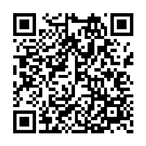 而这个新来的温玉溪只用了一个麦套稻的报告书二维码生成