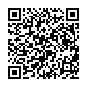 而这个时候日族族长和月族族长向着许紫烟走来二维码生成
