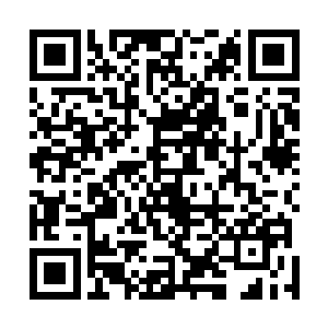 而这个时候王博目光阴沉的看着手中的资料还有几张照片二维码生成