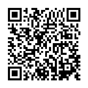而这个时候看双方的下路就能看到两支战队的战术是什么了二维码生成