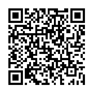 而这个时候被暖玉带出来的小七挣脱开暖玉的束缚二维码生成