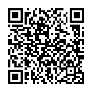 而这个时候识海内的小木木早就告诉她这里没有独立的空间二维码生成