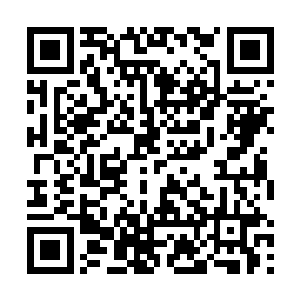 而这个智能核心很快就领会了雷林的意思并且传达下去二维码生成