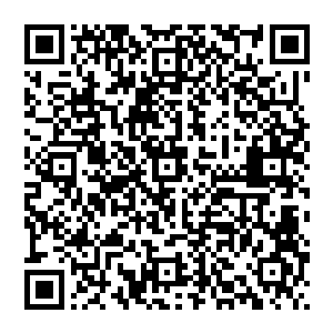 而这个秘密也断绝了我寻找同伴的可能……我不可能在结婚期间去找到一个让我的家变得更像家的人二维码生成