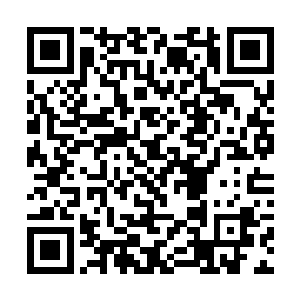 而这个等级的决定因素就是对于天道运用技巧的掌握二维码生成