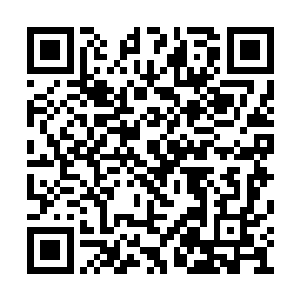 而这个老头生前经常和创世王一起讨论高新科技二维码生成