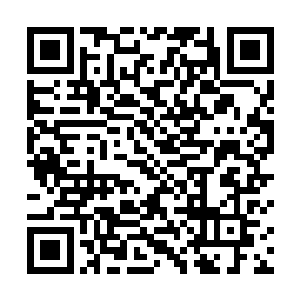 而这个联系的关键点我估计就在被封印的那个存在身上二维码生成