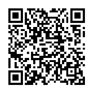 而这个金手指也帮他牢牢掌握住了吃货忠犬攻的胃和心二维码生成