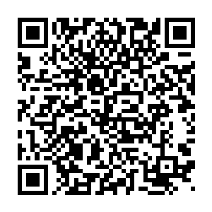 而这么半天一直安静看着的易红仙人目光从昏迷的兰鑫仙人身上滑过二维码生成