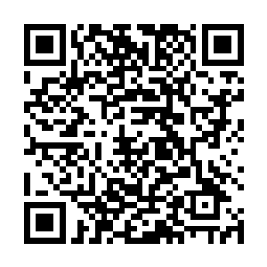 而这么多年来除了皇族之外他们没看到任何一个人来此二维码生成