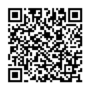 而这也从侧面印证了为什么她会出现在纽约街头二维码生成