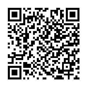 而这也是为什么这个剑修老者会脸色发苦的原因了二维码生成