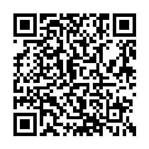 而这也是这部艺术片在首映礼上的唯一对话环节二维码生成