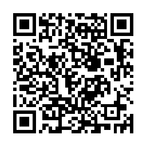 而这些人也意识到了在这个空间里面是可以修炼武修的二维码生成