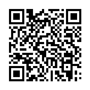 而这些人最厉害的也不过只是万象后期境界二维码生成