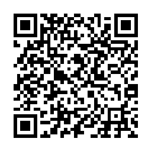 而这些关注也让这场比赛的慈善目的被更多的人知道二维码生成