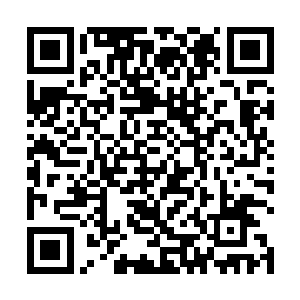 而这些千部很快就会把这些消息反馈给他们这些关系入二维码生成