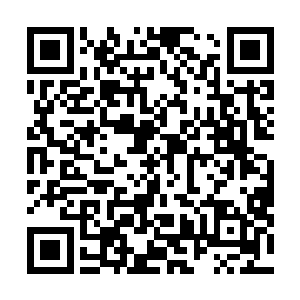而这些培训机构基本上都是由赫拉迪姆魔法议会出资建造二维码生成