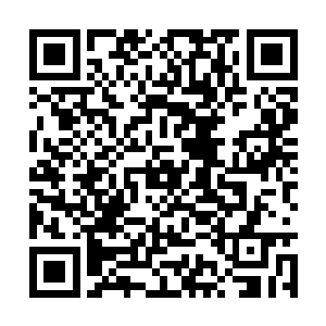 而这些屏幕则是被各大影院的老板无耻的安排给了二维码生成